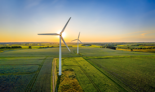 Wind turbines in a grassy field